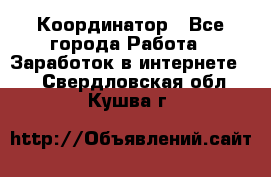 ONLINE Координатор - Все города Работа » Заработок в интернете   . Свердловская обл.,Кушва г.